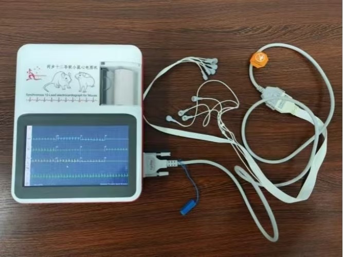 Synchronous 12-Lead electrocardiograph for Laboratory Mouse
